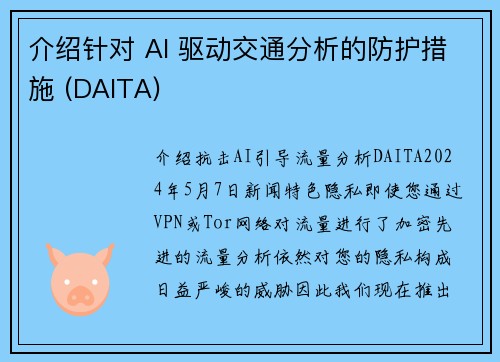 介绍针对 AI 驱动交通分析的防护措施 (DAITA) 